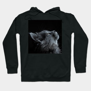 Gray Cat Hoodie